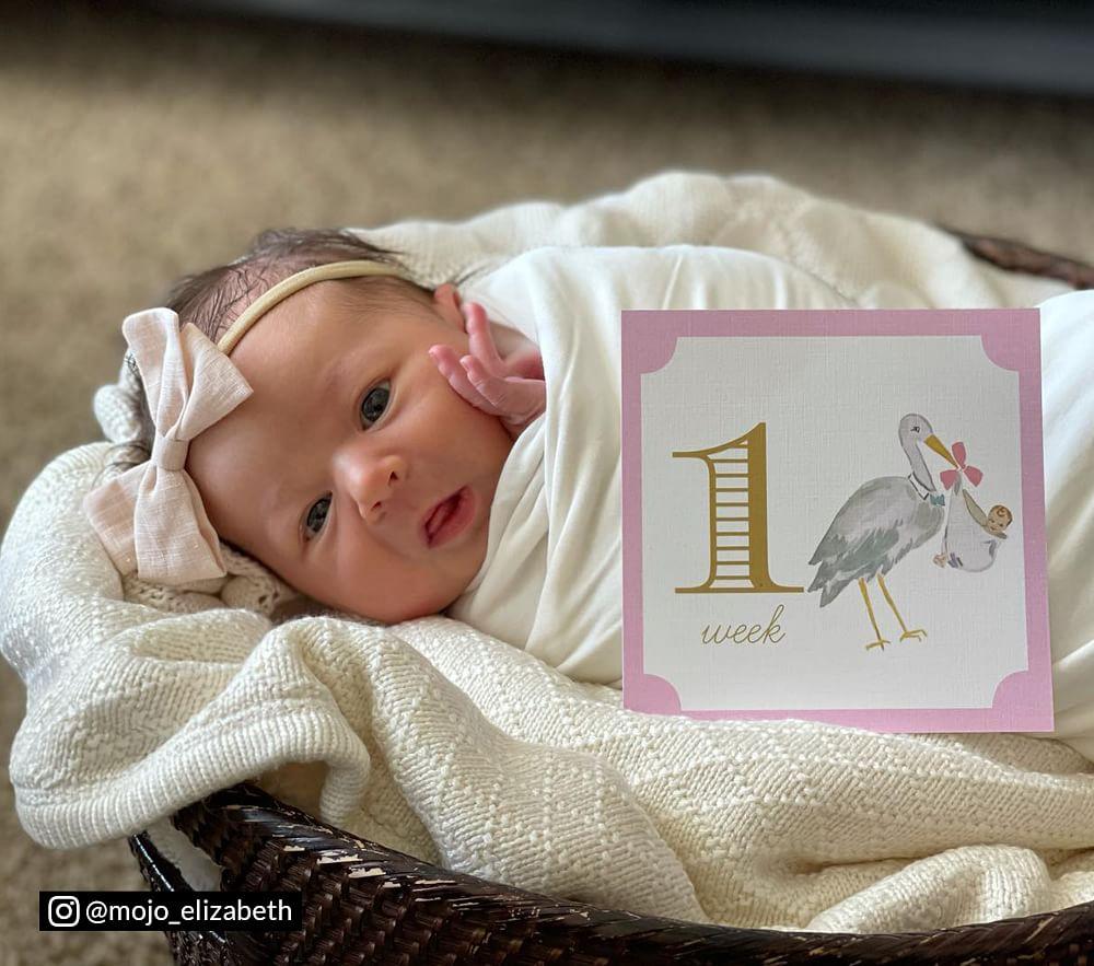 Pottery barn stroller best sale blanket